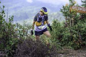 BIB: 
                            <button type="button" onclick="openModal(24765622)" class="btn btn-primary btn-sm float-right btn-popup" data-toggle="modal" data-target=".modal-high-quality">
                        <i class="fas fa-shopping-cart"></i> Add to Cart
                    </button>
                                            <button type="button" onclick="isThisMe(24765622, true)" class="btn btn-success btn-sm float-right btn-popup btn-isme hidden" data-toggle="tooltip" data-placement="bottom" title="นี่คือรูปของคุณใช่ไหม คลิกที่นี่เพื่อเอาเข้าอัลบั้ม">
                        <i class="fas fa-plus"></i> Add to album
                    </button>
                    <button type="button" onclick="isThisMe(24765622, false)" class="btn btn-warning btn-sm float-right btn-popup btn-isnotme hidden">
                        <i class="fas fa-ban"></i> Remove from album
                    </button>